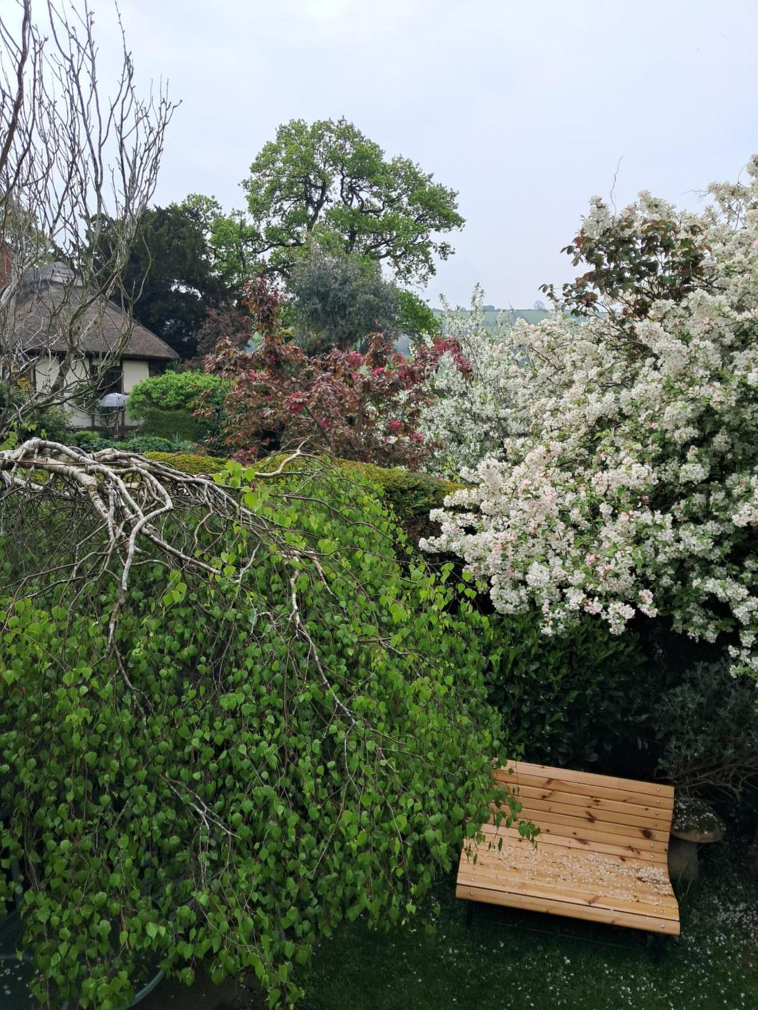 Parrs Cottage Wollaston  Экстерьер фото